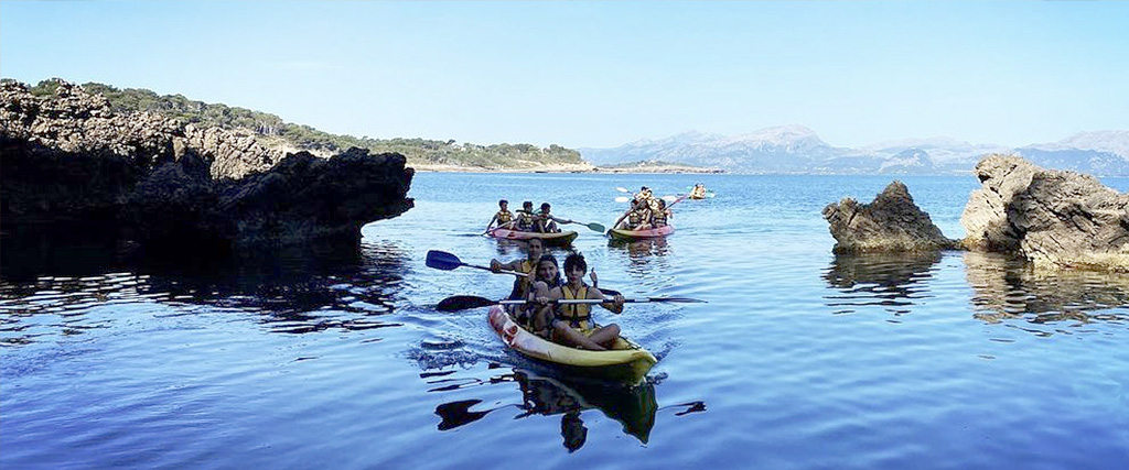 Esports85 Gestion Deportiva Ocio Tiempo Libre Y Cursos De Formacion