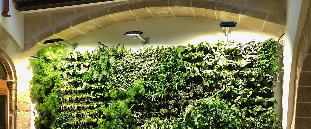 Jardines Verticales Mallorca, Decora cualquier espacio con Jardines Verticales estabilizados o naturales.